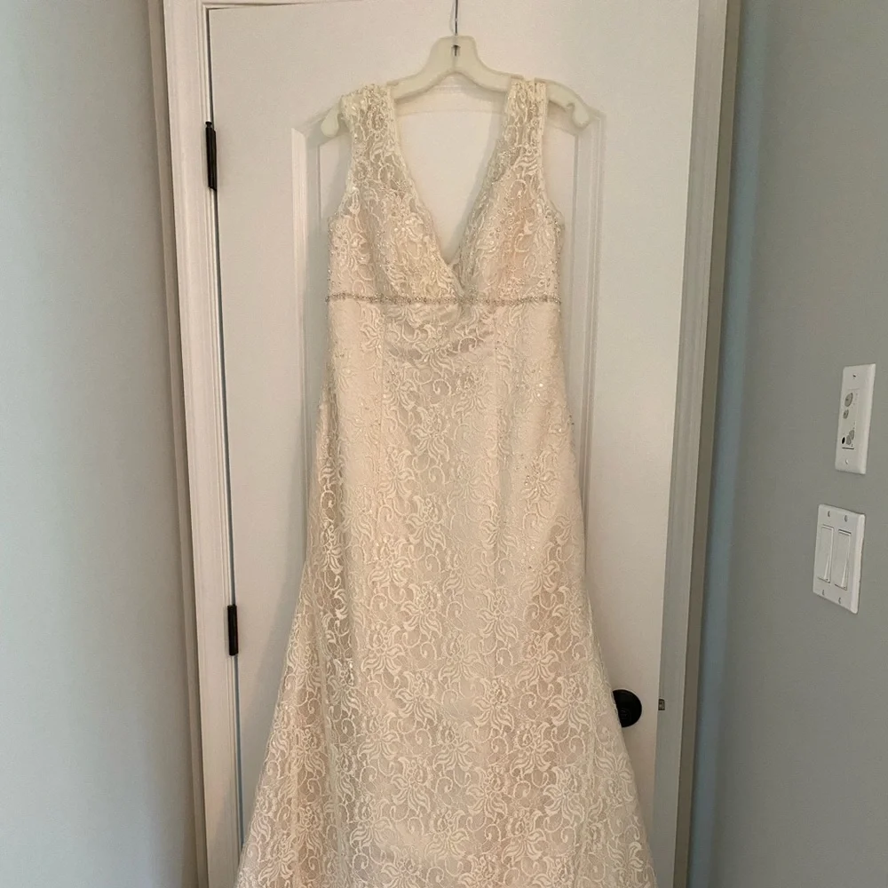 Brand new, never worn David’s Bridal Beaded Lace Wedding Gown in Ivory-Champagne - Picture 1 of 5